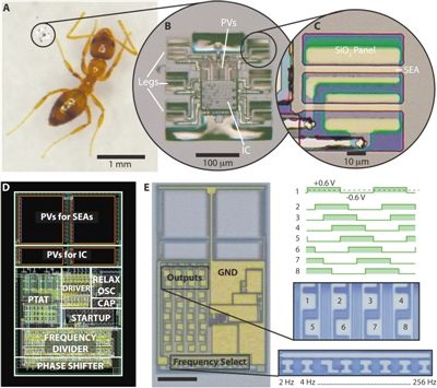 【News】Smart micro-robots walk autonomously with electronic 'brains'